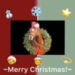 ~Horsey Chat!~