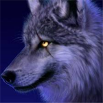 the shadow and light wolves pack
