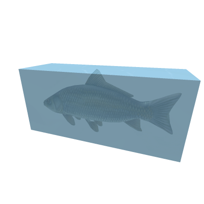 Frozen Fish