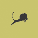 {CST} Caiman Safari Tours