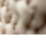 Pandasdonationss