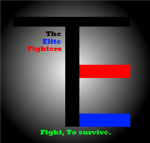 -The Elite Fighters-