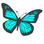 Butterfly Nation!
