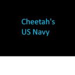 Cheetah's US Navy