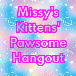 Missy's Kittens' Pawsome Hangout