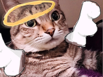 Official Goobers Community