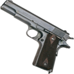 Gun Test