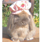 heyyy name liliy
