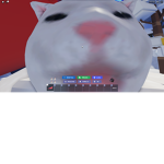 salad cat clan