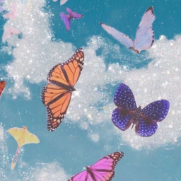 🦋