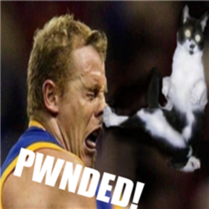 Chuck Norris Karate Cat Is Dah PWNz0rz Roblox decal