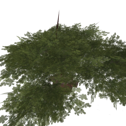 Tree house