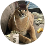 ballin