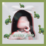 Turtle Team Blogs