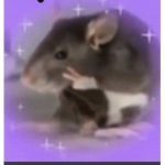 Rats Association Club