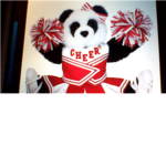 Pandas cheerleading squad