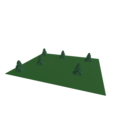 Forest Floor