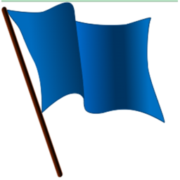 bumpy  captuure the flag