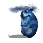 Night Chomik