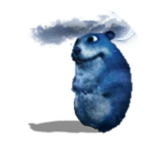 Night Chomik
