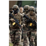 Roblox Sharkbite Military | RSM |