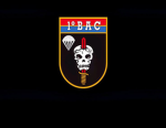 BAC [ BATALHÃO DE AÇÕES DE COMANDO ]