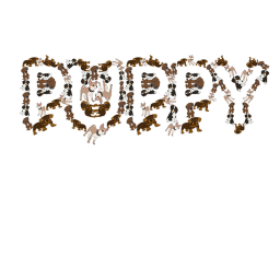 #Puppy’s club's puppy land