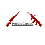 Caedes Task Force