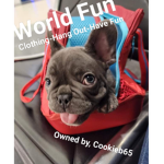 World Fun :)