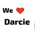 Cute cats darcie