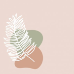 Aesthetic Mini Boutique