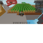Skyblock Payment