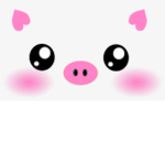 Pinkie Pigie Group