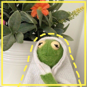 kermit