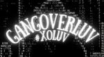 GangOverLuv