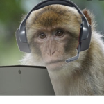 Monkecrew
