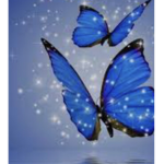 Cute Butterfly friends