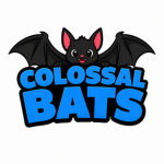 Colossal Bats