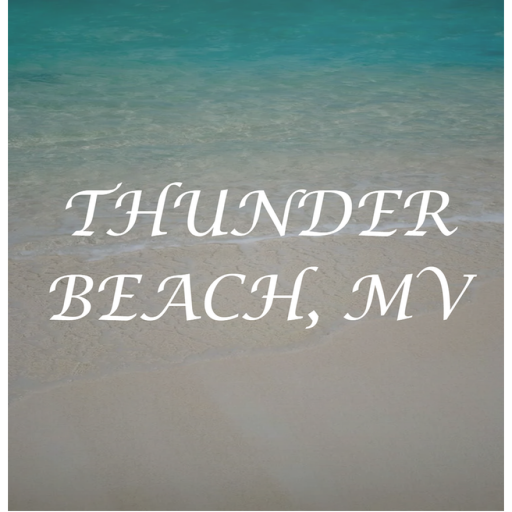 Thunder Beach 🏖️ | RP