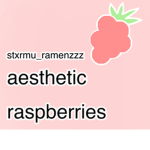 aesthetic raspberries