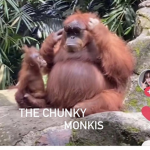 the chunky monkis