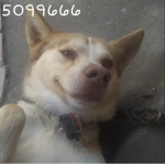 [friendly content;]