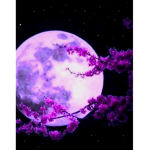 Little sky purple