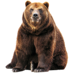 Bear Industries.