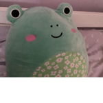 FROGO GIRL