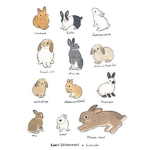 bunny supporters :)