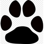 the dog paw team