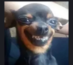 Kepau