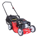 The Red Shopping Cart Lawnmowers