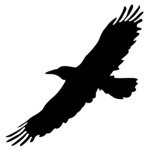 Blackbird Clothing®